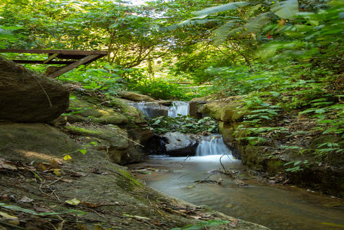 El entorno natural predomina en la Finca El Barretal. (Foto: Christian Lara)