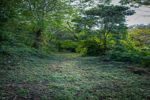 Si disfrutas de un plan m&aacute;s tranquilo puedes caminar por los senderos. (Foto: Christian Lara)