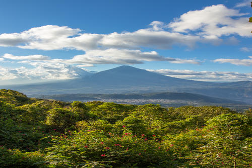 Una de las vistas que se obtiene desde este lugar lleno de vegetaci&oacute;n. (Foto: Christian Lara)