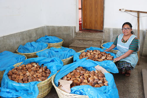 El significado de esta pr&aacute;ctica es conmemorar la multiplicaci&oacute;n de los panes narrada en los Evangelios, cuando Jes&uacute;s aliment&oacute; a m&aacute;s de 5 mil personas con cinco panes y dos peces. (Foto: Julio Bala/Colaborador)