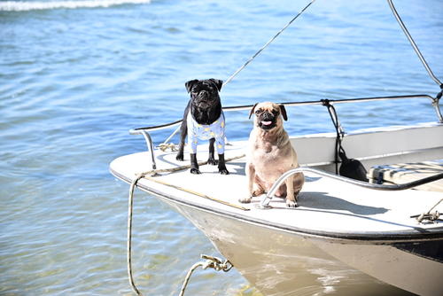 Tambi&eacute;n puedes visitar esta playa junto a tu mascota. (Foto: Carlos Monroy/Colaborador)