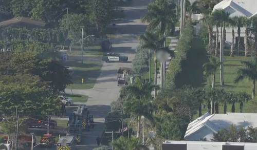 El guatemalteco toc&oacute; por accidente un cable de alta tensi&oacute;n mientras laboraba en cortar &aacute;rboles. (Foto: Local 10)