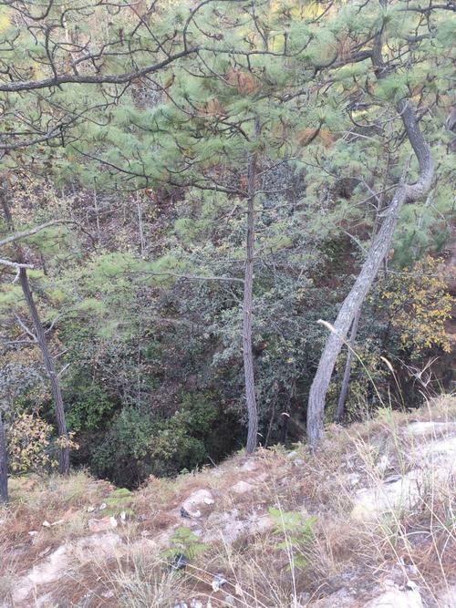 El barranco ten&iacute;a aproximadamente 15 metros de profundidad. (Foto: Bernardo Mont&uacute;far/Nuestro Diario)