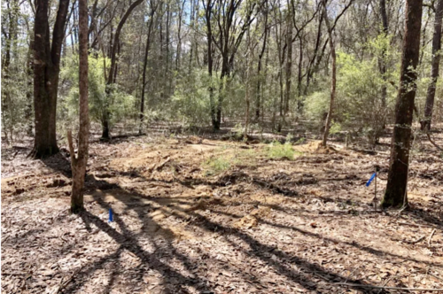 Los cuerpos fueron hallados enterrados en una zona boscosa, gracias a los agentes caninos. (Foto: WKRG)