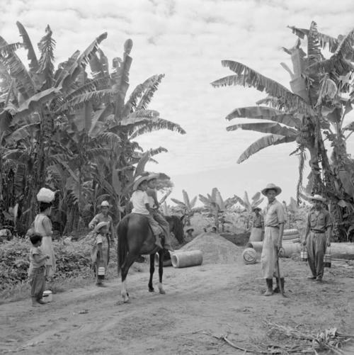Harris, Eugene V. Clarence retrat&oacute; esta finca bananera en Tiquisate a mediados del siglo XX. (Foto: Historia de Guatemala en Fotograf&iacute;as)