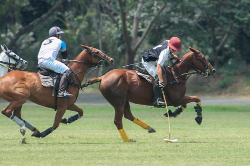 Las Canchas Polo Club, a orillas del Lago de Amatitl&aacute;n, fue testigo del torneo m&aacute;s importante de Polo, que se realiza en Guatemala. (Foto: ASOPOLO)