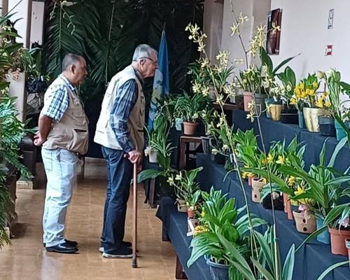 Cada rinc&oacute;n del festival estar&aacute; ambientado con detalles naturales que invitan a disfrutar y compartir momentos especiales. (Foto: Asociaci&oacute;n Altaverapacense de Orquideolog&iacute;a)