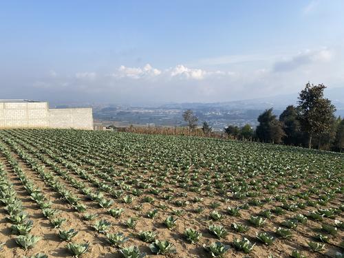 La poblaci&oacute;n actual se dedica a la agricultura. (Foto: Carlos Sotz/Colaborador)
