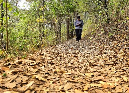 El sendero te lleva por &aacute;reas naturales cubiertas por la vegetaci&oacute;n. (Foto: Oswaldo Cop/Colaborador)