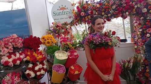 Las rosas guatemaltecas se han posicionado como el cuarto exportador mundial. (Foto: J&eacute;ssica Osorio/Soy502)