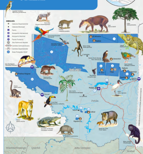 Parte de la gu&iacute;a de &Aacute;reas Protegidas. (Foto: CONAP)