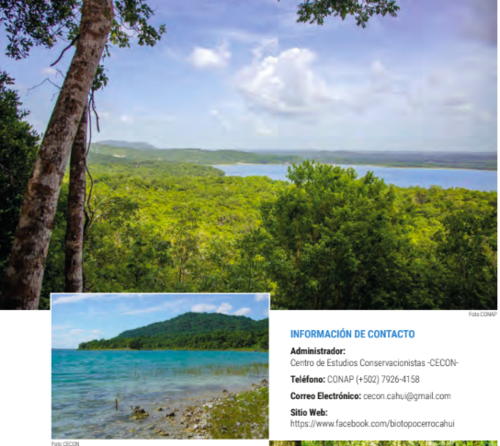 Parte de la gu&iacute;a de &Aacute;reas Protegidas. (Foto: CONAP)