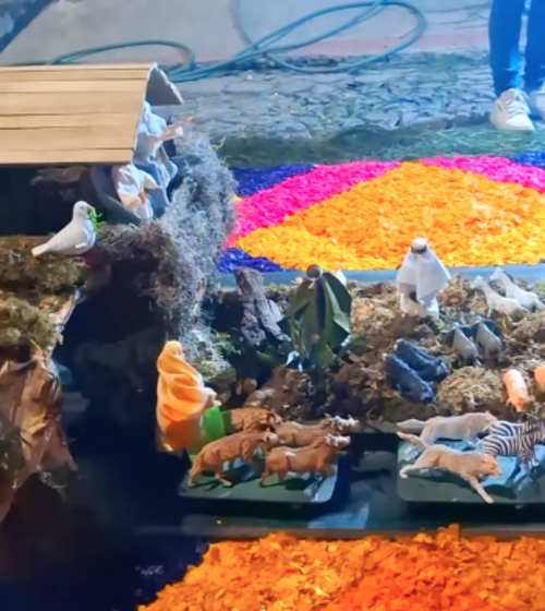 alfombra mecánica 1