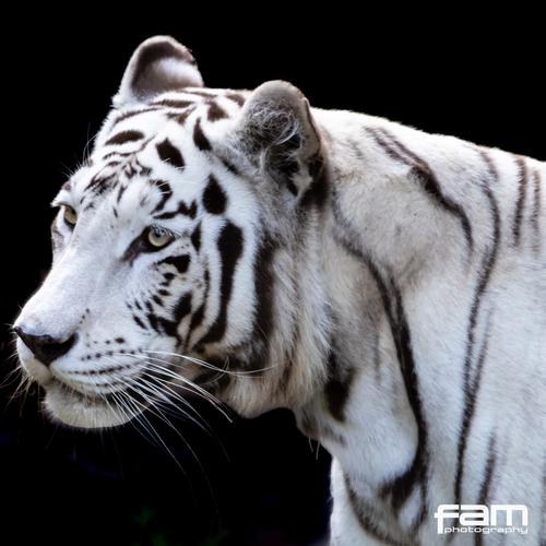 (Foto: Zool&oacute;gico La Aurora)