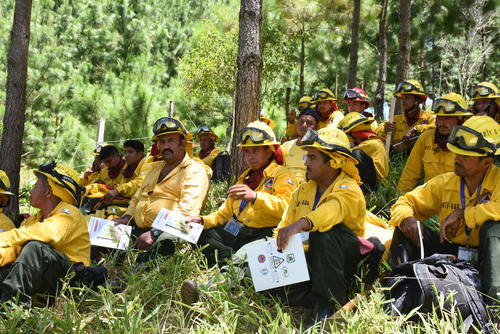 La finca, al ser modelo forestal, se utiliza para capacitaciones de bomberos. (Foto: Juan Carlos Aquino/Colaborador)