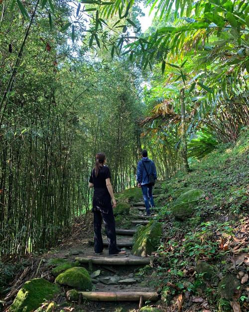 Puedes explorar los caminos que conectan las plantaciones de macadamia con el bosque virgen. (Foto: FB/Reserva Patrocinio)