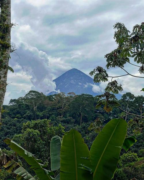 El contraste perfecto entre el coloso de Santa Mar&iacute;a y la exuberante selva subtropical del Palmar. (Foto: FB/Reserva Patrocinio)