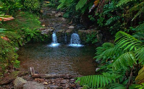 Cada visita apoya la conservaci&oacute;n de este pulm&oacute;n verde y sus proyectos de energ&iacute;a renovable. (Foto: FB/Reserva Patrocinio)