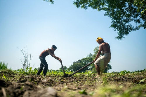 Seg&uacute;n el INE, la categor&iacute;a de trabajador por cuenta propia agr&iacute;cola representa el 8% de la ocupaci&oacute;n. (Foto: Canva/Soy502)