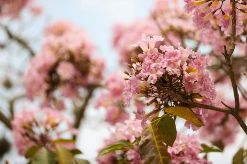 Es com&uacute;n ver las calles coloridas en esta &eacute;poca. (Foto: Municipalidad de Guatemala)