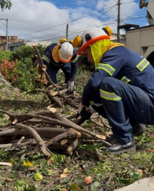 Las cuadrillas municipales trabajan de forma planificada. (Foto: Municipalidad de Guatemala)