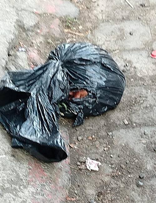 (Foto: Bomberos Municipales)