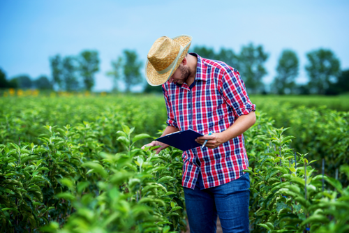 Unos 20 mil productores agr&oacute;colas emplean herramientras digitales para medir impactos en cultimos. (Foto: Canva/Soy502)