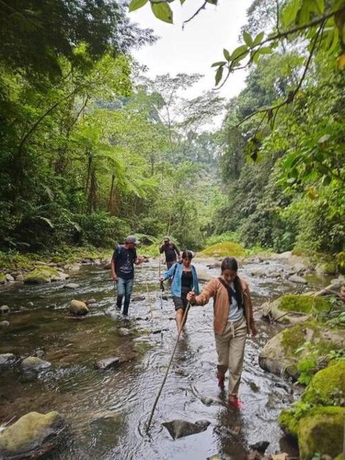 Esta puede ser la ruta perfecta para los amantes del ecoturismo. (Foto: Senderos Loma Linda)