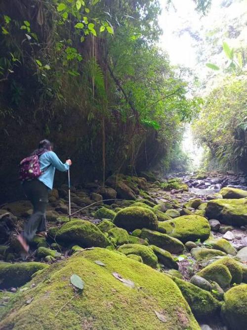 Paso a paso, el sendero regala postales que se quedan grabadas en la memoria. (Foto: Senderos Loma Linda)