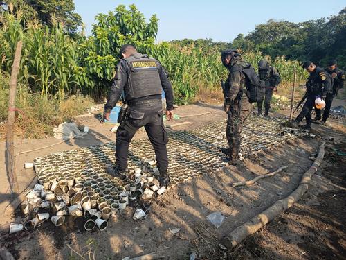Utilizaron vasos de duroport para sembrar marihuana. (Foto: PNC)