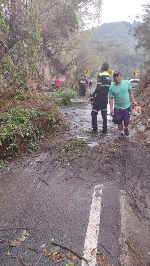 Un agente corta las ramas de un &aacute;rbol para agilizar la liberaci&oacute;n de la ruta. 