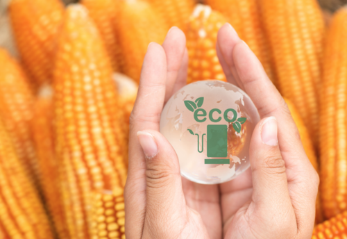 Aditivos como el etanol, de origen vegetal, elevan el octanaje del combustible tradicional. (Foto: Shutterstock)