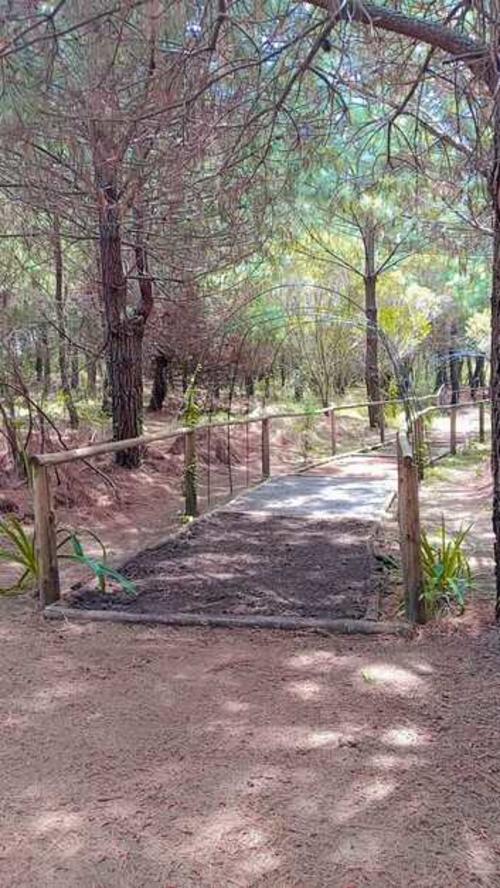 El sendero de los Sentidos ofrece experiencia &uacute;nica. (Foto: Jos&eacute; Garc&iacute;a/Colaborador)