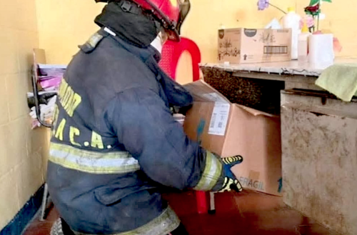 Los bomberos lograron retirar a los insectos sin que los estudiantes o docentes sufrieran picaduras. (Foto: Asonbomd)