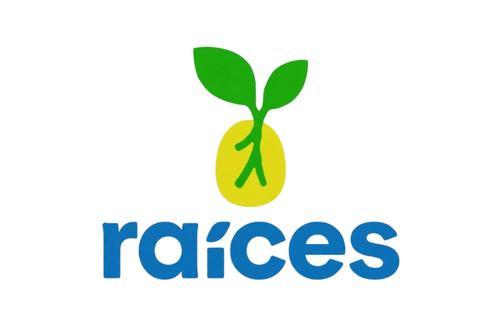 Comit&eacute;s proformaci&oacute;n, adhesiones, Registro de Ciudadanos, Tribunal Supremo Electoral, Ra&iacute;ces, Partidos pol&iacute;ticos, 02