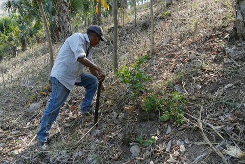 Las familias en Jocot&aacute;n, Chiquimula dependen principalmente del ma&iacute;z y frijol para alimentarse. (Foto: Wilder L&oacute;pez/Soy502)