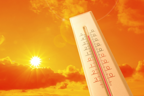 Seg&uacute;n el ICC, se prev&eacute; un incremento t&eacute;rmico de 1.5 grados cent&iacute;grados que elevar&iacute;a el riesgo de marchitamiento prematuro de los cultivos. (Foto: Canva/Soy502)