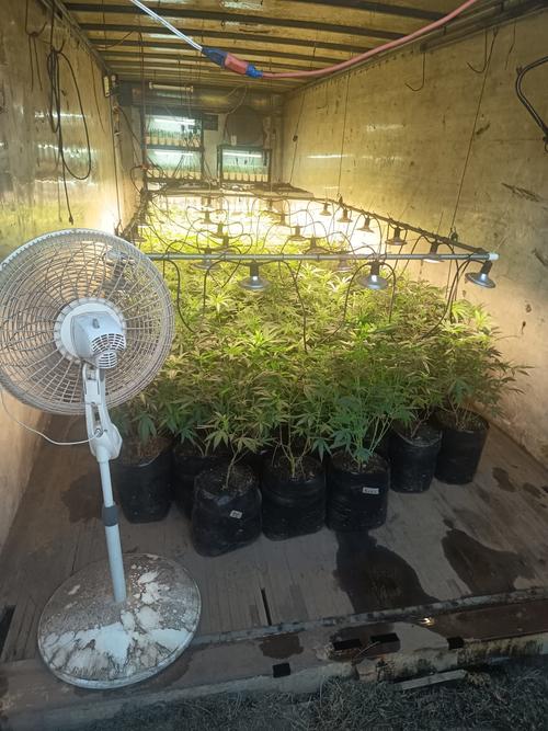 Dos de los contenedores localizados eran usados para el cultivo de marihuana. (Foto: PNC)