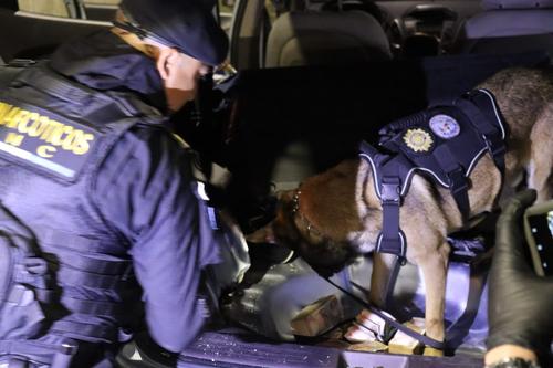 Durante el operativo, equipo K-9 brind&oacute; apoyo. (Foto: PNC)