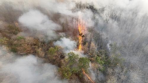 El humo de los incendios representa un riesgo grave para la salud y la calidad del aire. (Foto ilustrativa: Shutterstock)