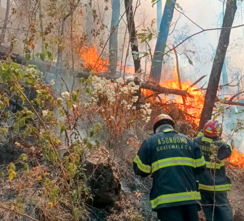 Los incendios se localizan en Quich&eacute;, Zacapa, Chiquimula y Pet&eacute;n, Jalapa, Sacatep&eacute;quez y Guatemala. (Foto: Asonbomd)