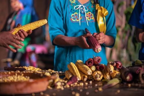 Tobanik fue creado para facilitar financiamiento a peque&ntilde;os productores agr&iacute;colas. (Foto ilustrativa: Shutterstock) 
