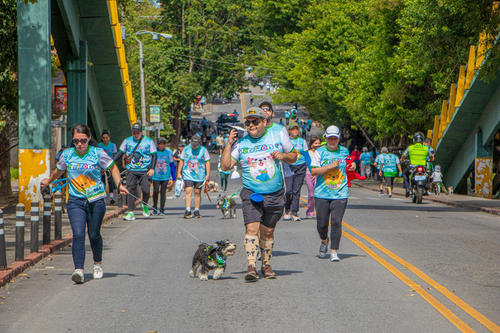 La tercera edici&oacute;n de la Perrit&oacute;n ser&aacute; el 25 de octubre. (Foto: Cortes&iacute;a Municipalidad de Guatemala)