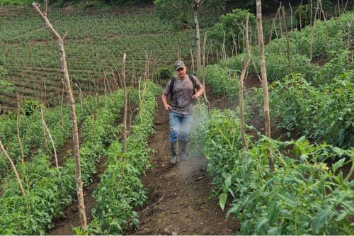 El agricultor aprovecha el suelo f&eacute;rtil de la regi&oacute;n. (Foto: Carlos Monroy)