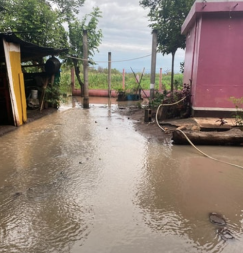 Viviendas se vieron afectadas debido al desbordamiento del r&iacute;o. (Foto: Conred)