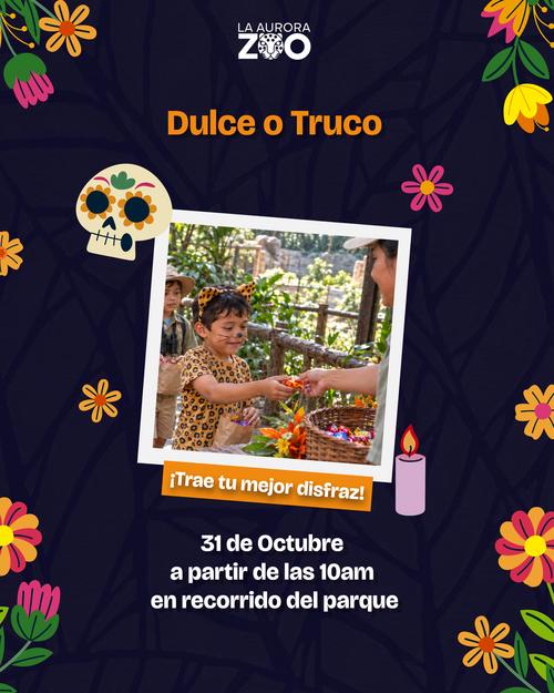 El recorrido para dulces ser&aacute; en todo el parque. (Foto: Zool&oacute;gico La Aurora)