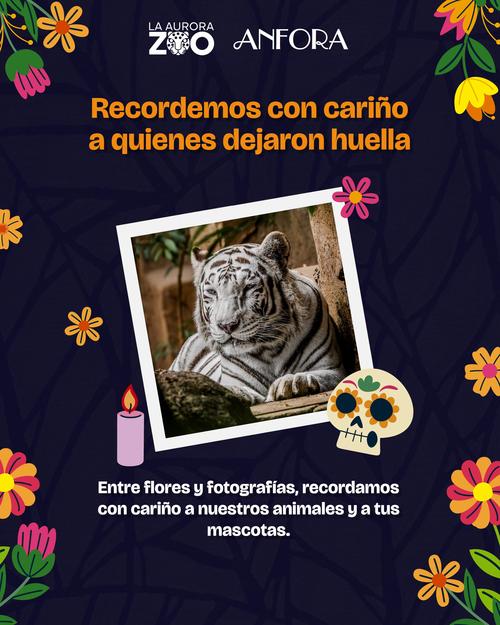 El homenaje iniciar&aacute; a las 10:00 horas. (Foto: Zool&oacute;gico La Aurora)