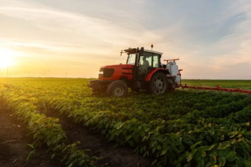 Actividades agropecuarias, fr&iacute;o, clima, insivumeh, La ronda