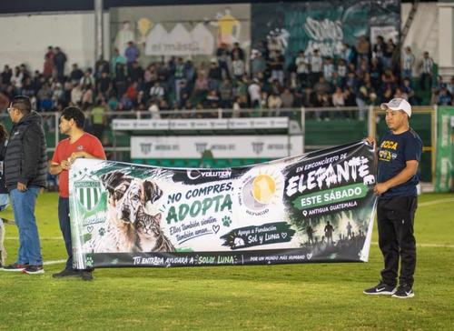 La visita de manchas fue para promover el apoyo a los animales rescatados. (Foto: Antigua GFC)