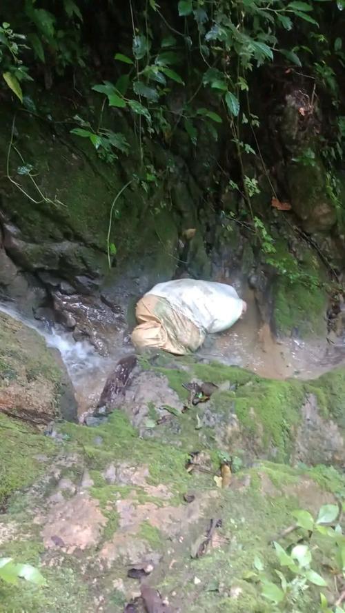 Autoridades investigan este caso que ha consternado a Alta Verapaz. (Foto: Asonbomd)